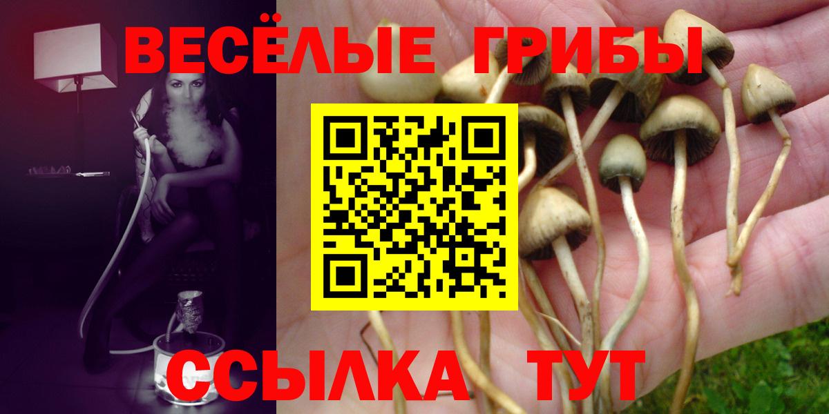 Галлюциногенные грибы GOLDEN TEACHER  Псилоцибиновые грибы прущие грибы  Вход с VPN  Советск 